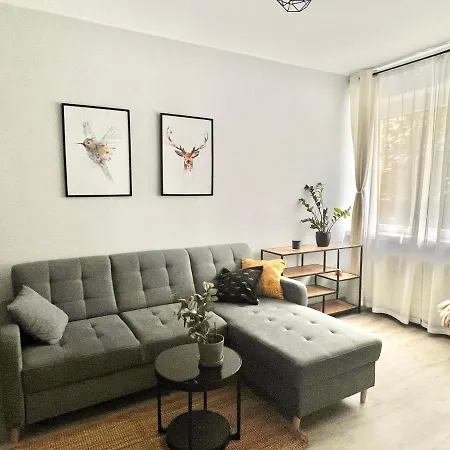 Charming Calliera 12 *