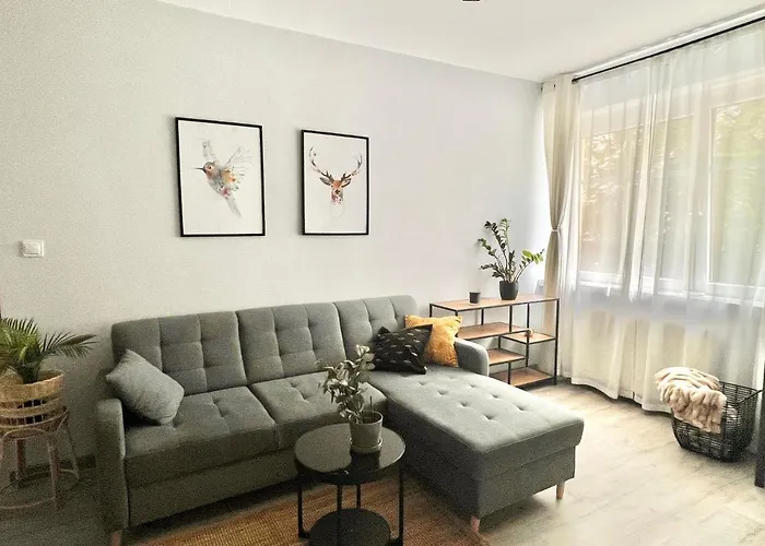 Charming Calliera 12 *