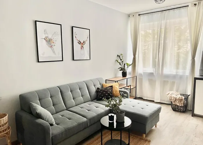 Charming Calliera 12